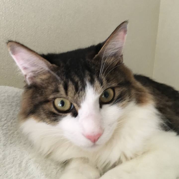 4b829f51 c27f 4a17 bea2 05d09536b100