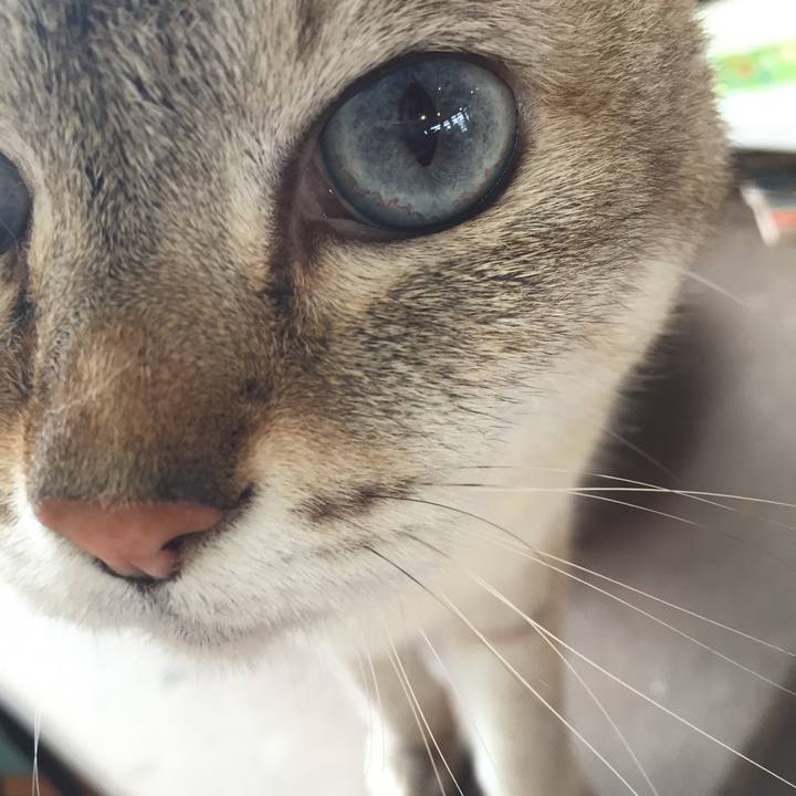 4b8320ec bd94 44cf 8e1f 513cad4f08ac