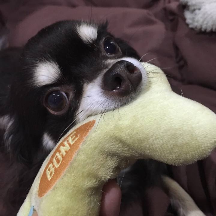 4b83307d 3935 4abf ac02 915dba34c19b