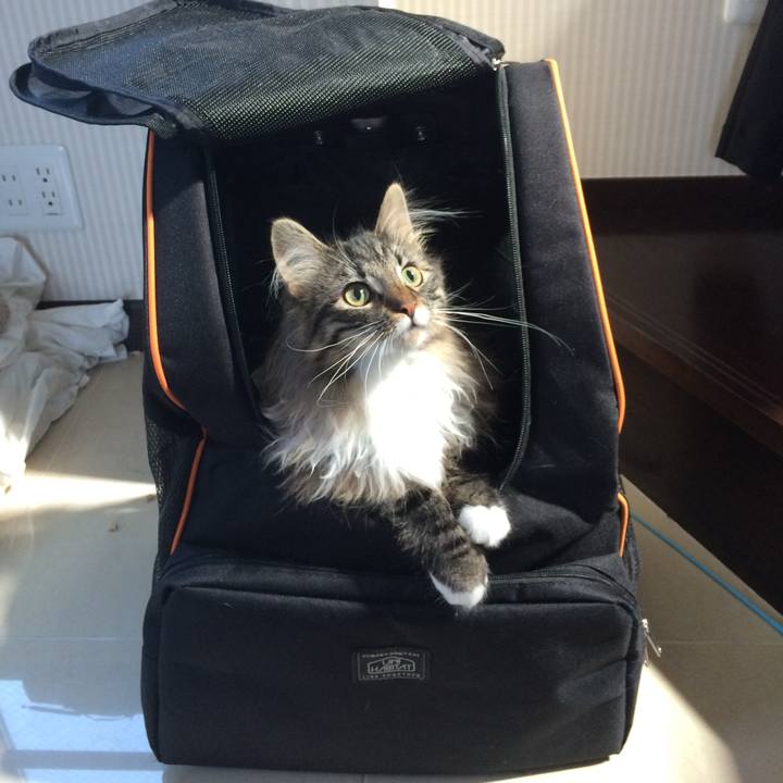 4b834e78 a951 48ed 9299 64c6770047b5