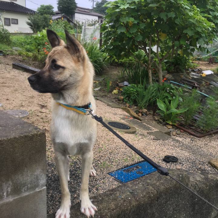 4b8371d8 a575 4ac3 958c e66a907d1399