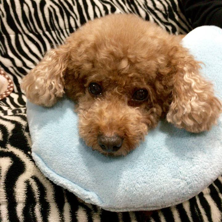 4b83d8c7 5f79 43bc 93f7 f62f9860fd7f