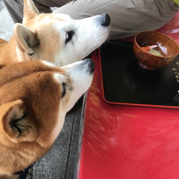 4b84a97c 2e6e 4c64 93fc 3ea4392fcc9a