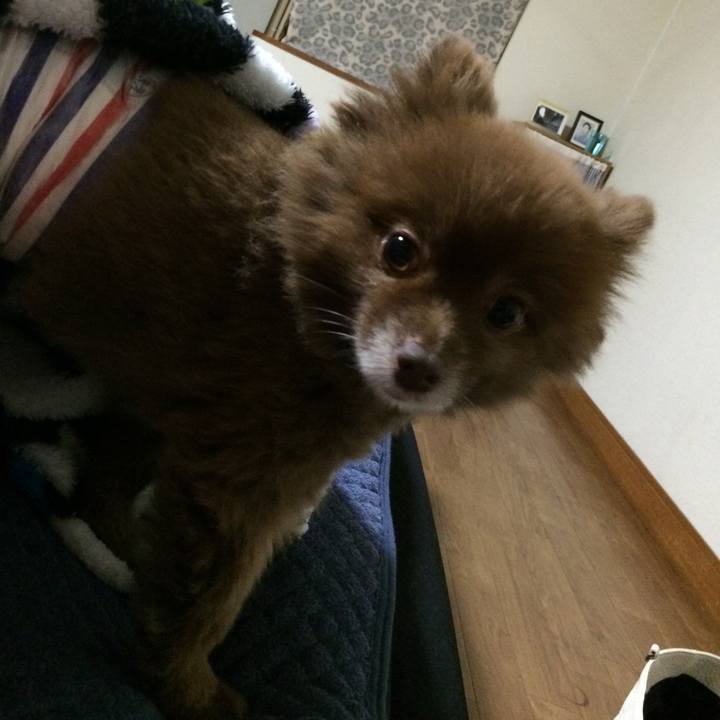 4b850358 644b 4f4b 9517 44136eca6447