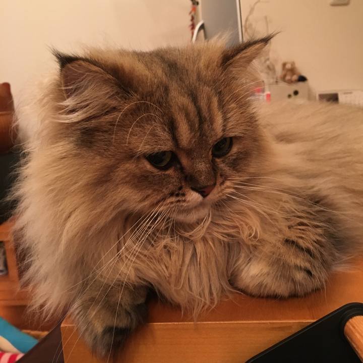 4b861447 6d76 43fd 9409 7df5f05a9757