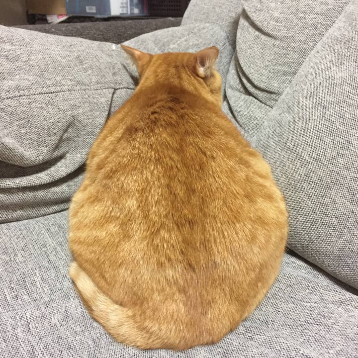 4b862bbb c4c8 47d2 bccc 00ead1fb99e4