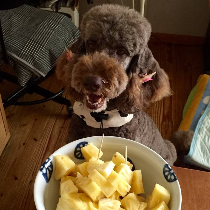 4b87092a 22f5 47a6 bad7 10a271fb1f24