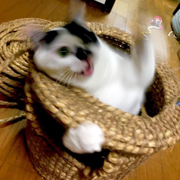 4b87692b 18bf 42c2 ba7c ab89cf035f6c