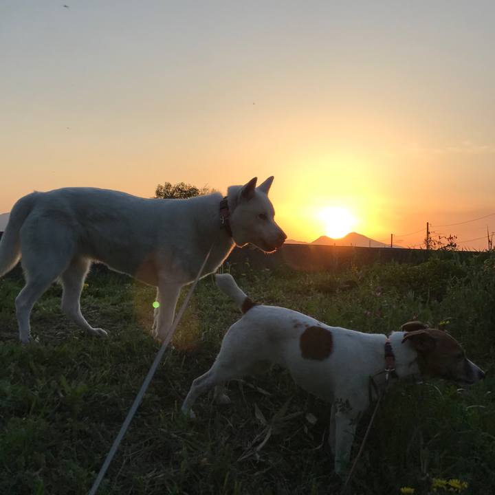 4b88db04 9f72 4109 bee1 3cf196ea39a5