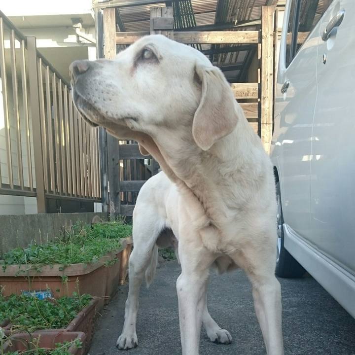 4b88e0f1 3746 41ec 8904 0e2eee7a44d4