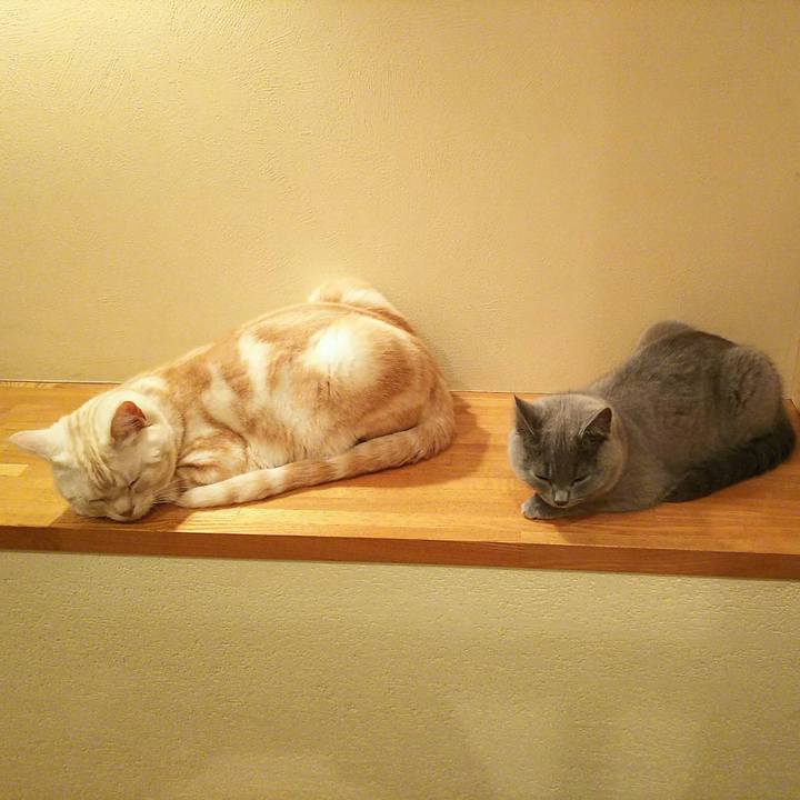 4b88fe9a 2fdf 4dc1 b000 c87fc4ad656d