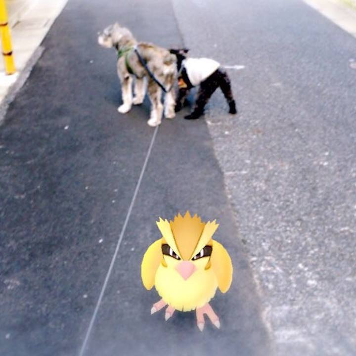 4b89c304 7cb4 4138 8f2f 05800797aac3