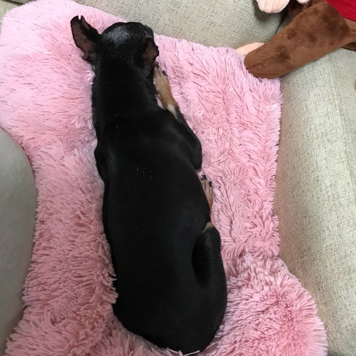 4b8a0280 f402 4365 bb43 aed33f6a133a