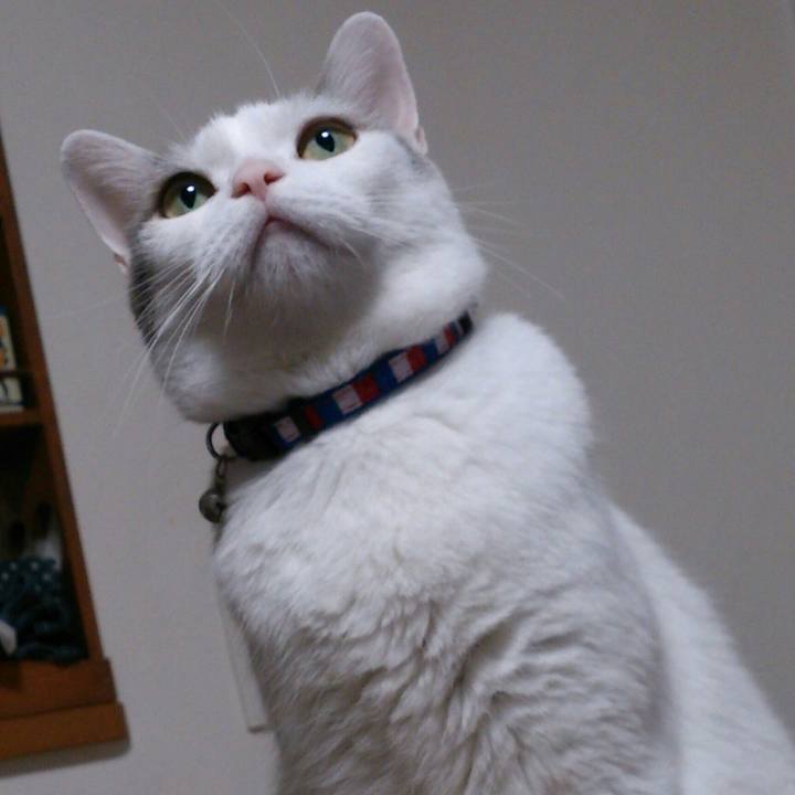 4b8a5b37 1711 4257 a06a 470eda7a9c4b