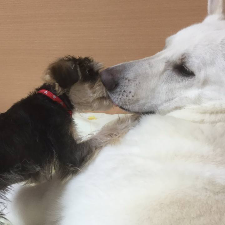 4b8ac919 cafa 4b10 891e cb6df6b42b5a