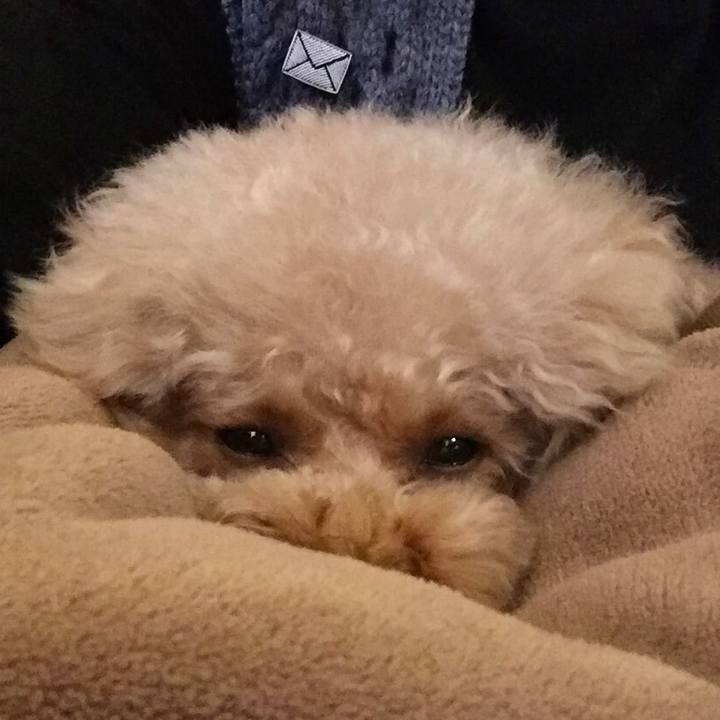 4b8b8808 3ce1 4cc4 bb0a 657550f4b9ef