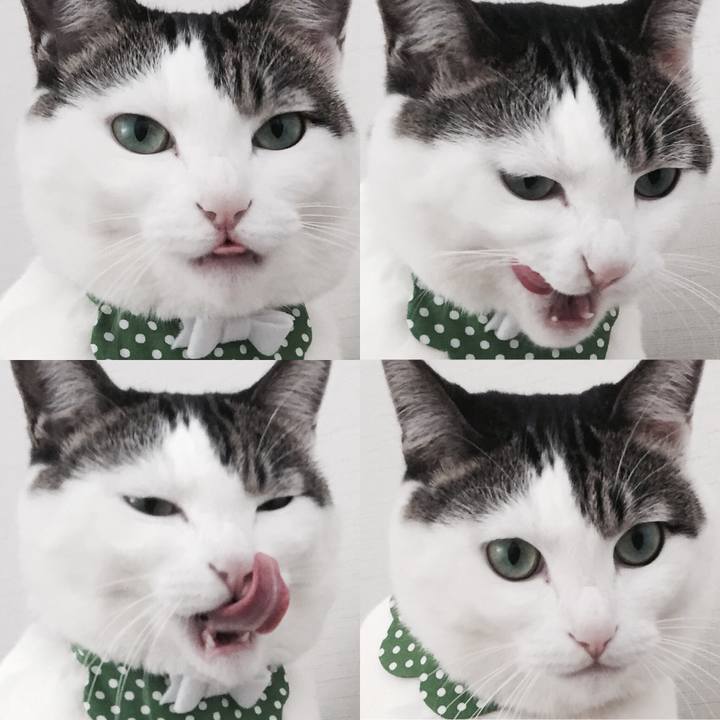 4b8c2b9e 23b2 4b8d b5aa 576cb5d9fc5a