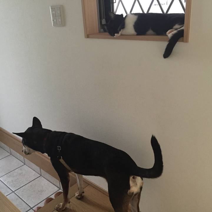 4b8c3202 ec03 4a24 8909 de94cbf0acfc