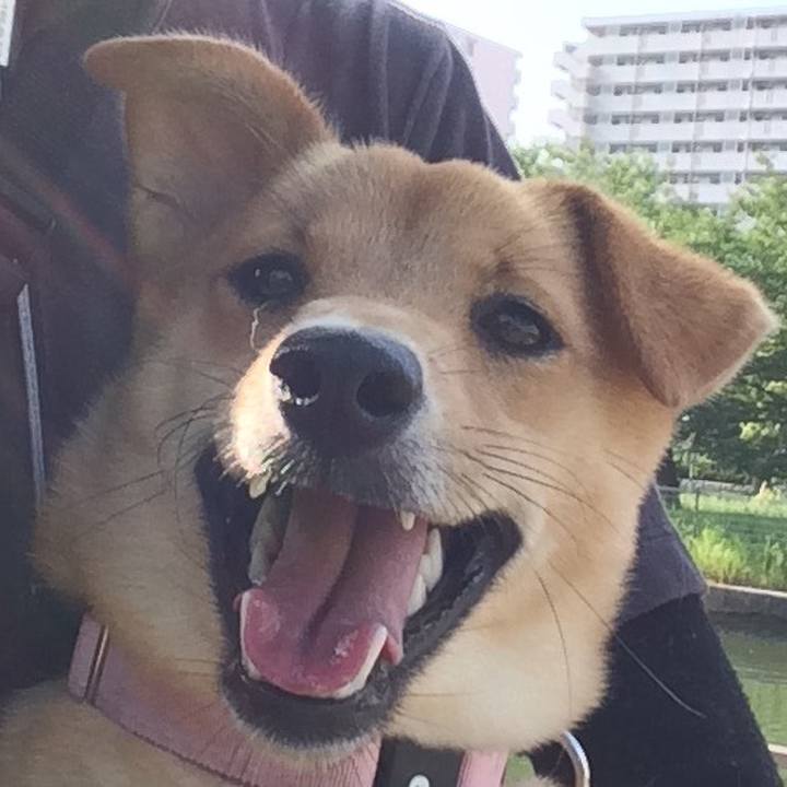 4b8e7583 8ce4 4bce 98e6 73248ec1f365