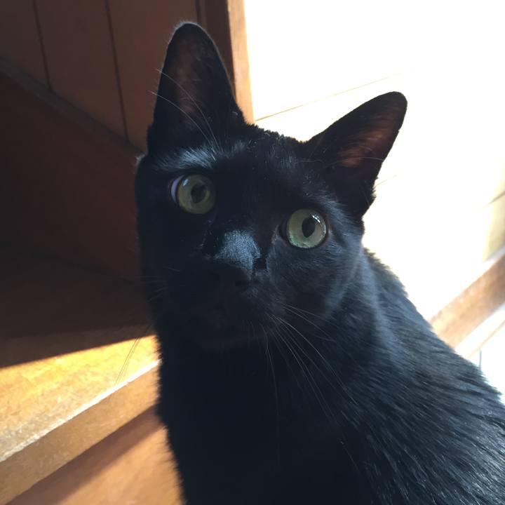 4b8e8c62 49a0 49ea 9350 fc7de7da9590