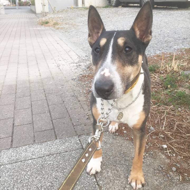 4b8f6575 e913 4eb0 8d9b c77daeb5ef01