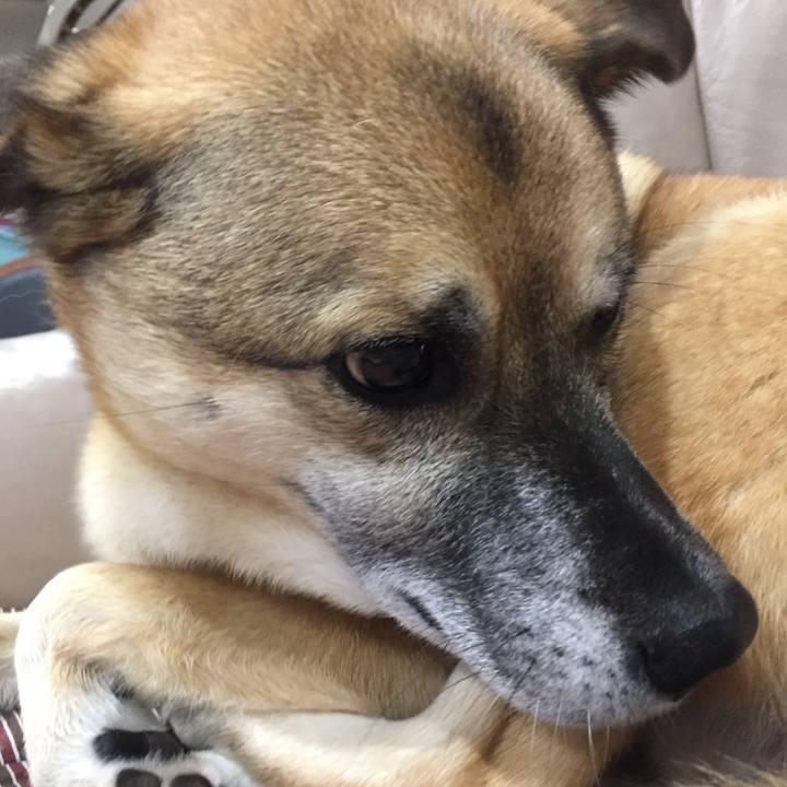 4b8fad58 c4ac 429c 9583 33a8f74ca37d