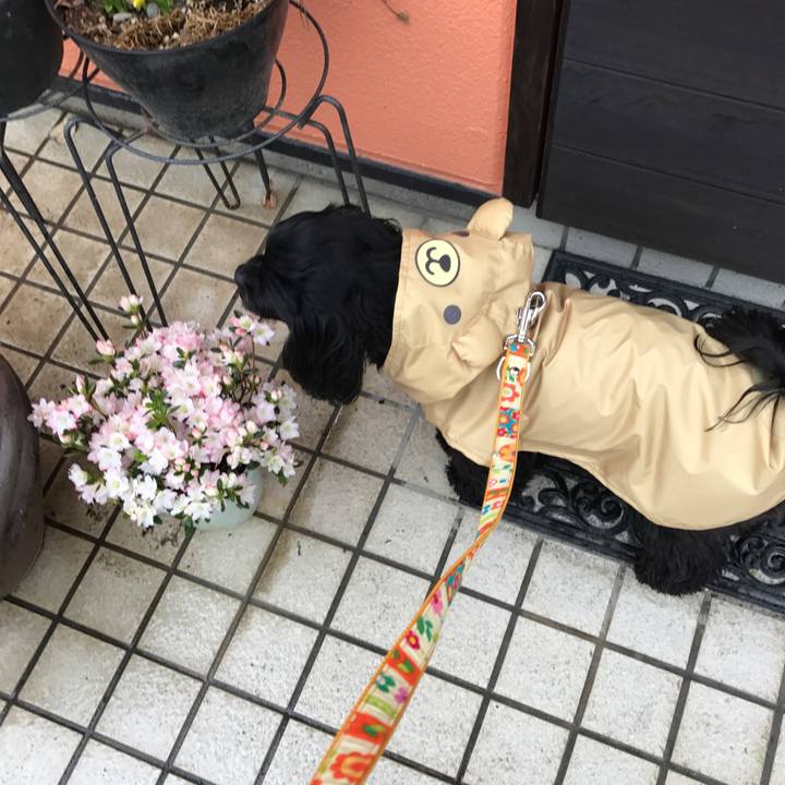 4b8ffc38 942c 4cda 9416 bcd3fb766aa7