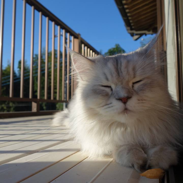 4b903030 d00c 4d5f bbe7 8856827df4c8