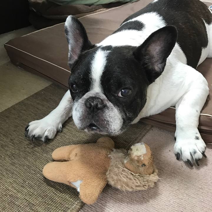 4b91cf57 4f19 4f8c 812d de252f28fe1f