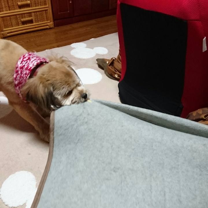 4b91d7d2 01c3 413b b892 3c81570fef51