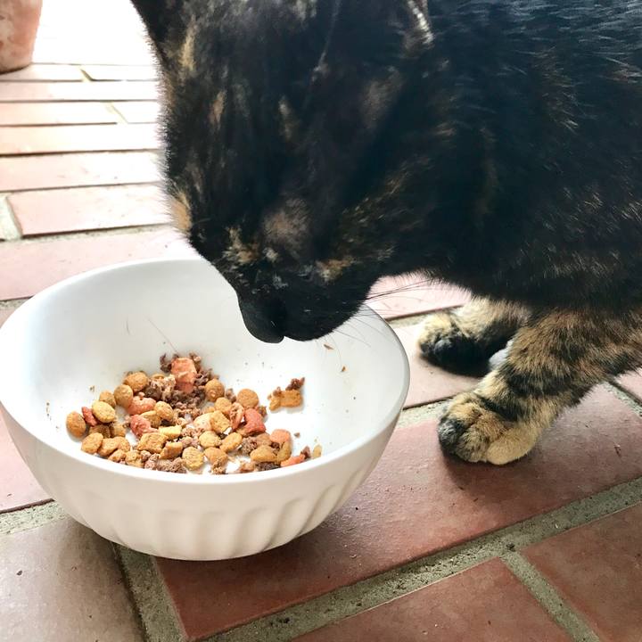 4b92da7e 81dd 4591 b046 28041255a944