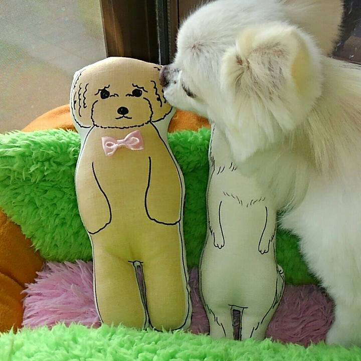 4b92e6e4 7925 4492 9987 95b166080965