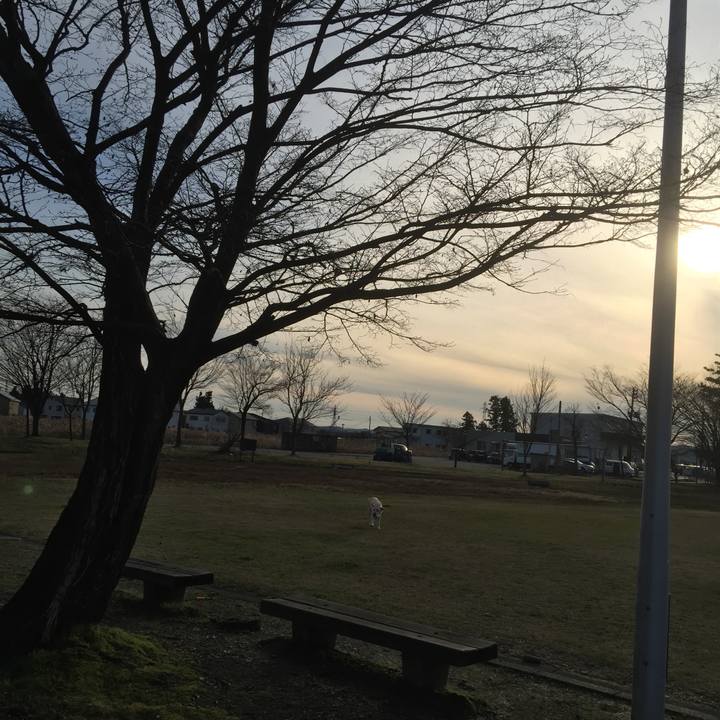 4b92f65a 537a 4145 b760 3879513a7873