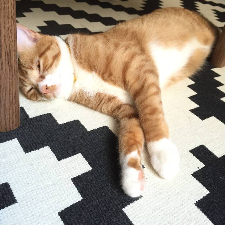 4b943392 ec9a 4b29 a8a8 5ca6cf3dd553