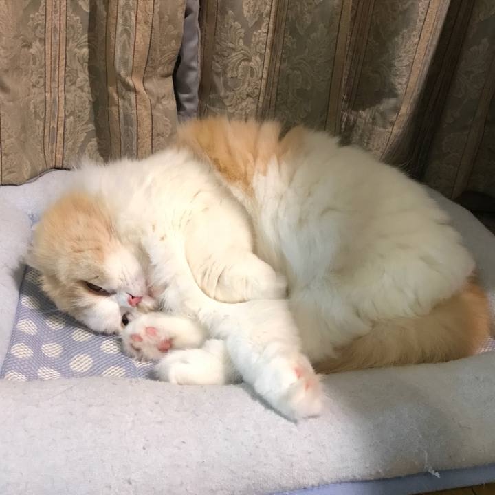 4b9443ef 6288 4609 b6a5 7deb1e29a809