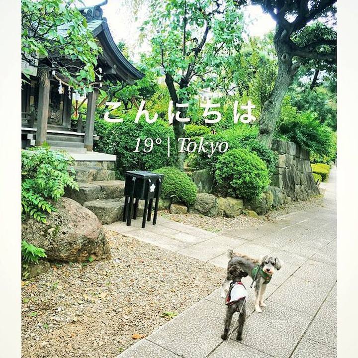 4b94a52b a488 447e a5f7 68a3e65a3672