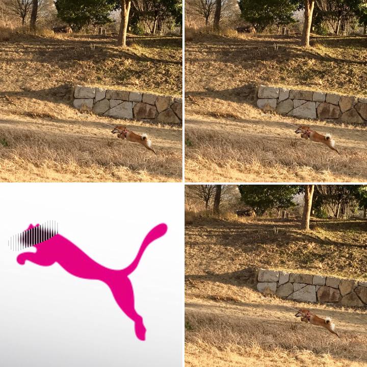 4b94e581 1f95 40e1 9e2c 2188adb07c7f