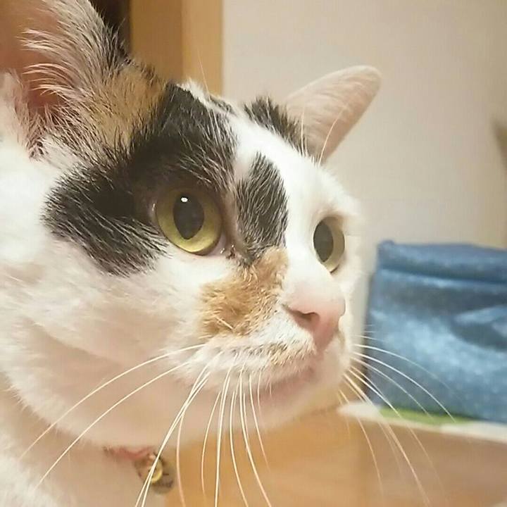 4b950988 7a2a 44b7 8be2 ac85a417bbb9