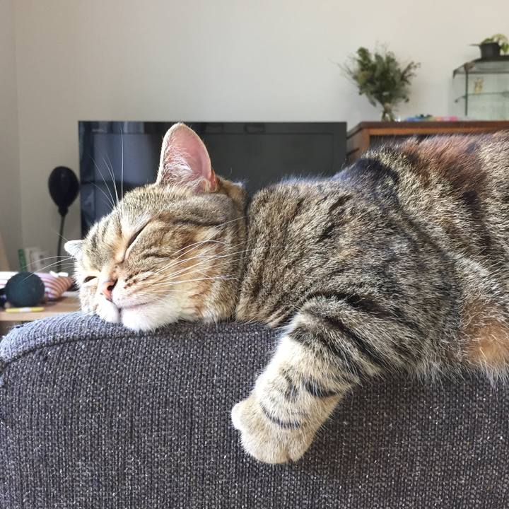 4b950d64 d145 48f3 8020 cc69ef2bb6f7