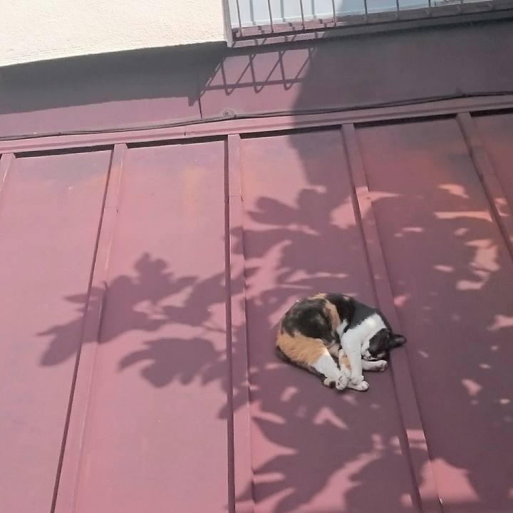 4b9590b5 46df 44d7 bfa9 63617c39445d