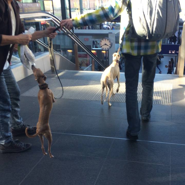 4b95e1dd 99e6 4a32 85c1 07b18ad39cff