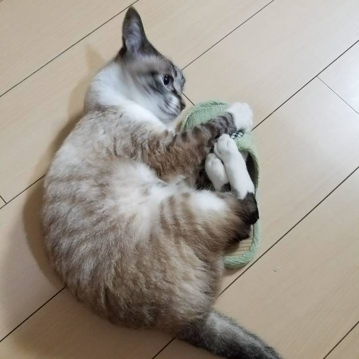 4b961f6d b234 4e72 8d43 44b00e763e88