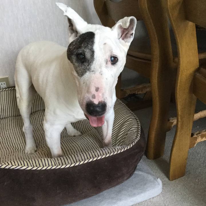 4b967658 4226 474a 8333 d7b7db5e1827