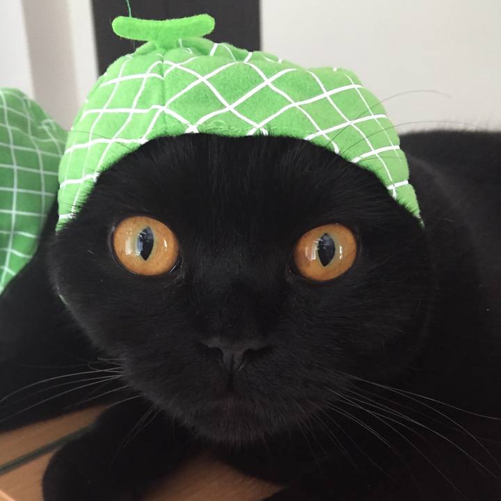 4b96c85d 4fa9 4b6f a70d e8878b4a9cd2