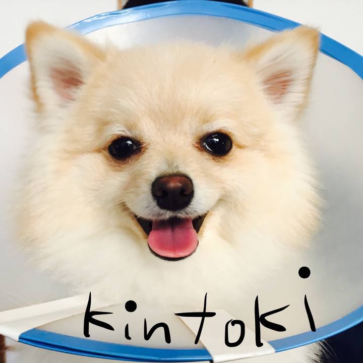 4b973ab9 9b2a 40c2 a664 a2b78a9f4763