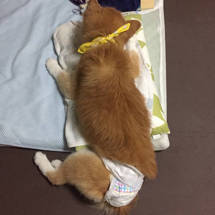 4b97cfe5 6100 4bde 9213 61668b95fa3f