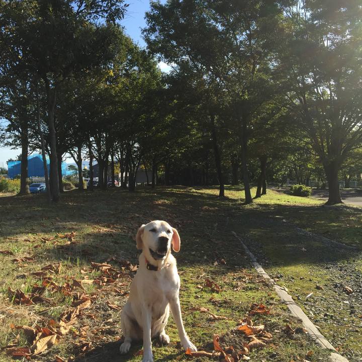 4b97d2b9 f413 4bae a64f cb44b3338bb6