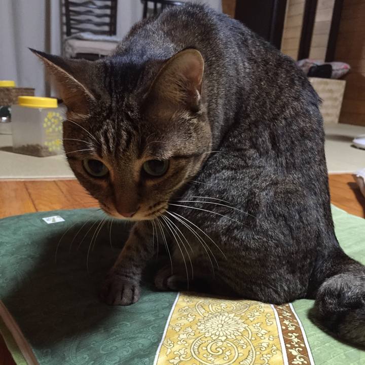 4b98c0b6 33f2 4082 bd97 151457274f9f