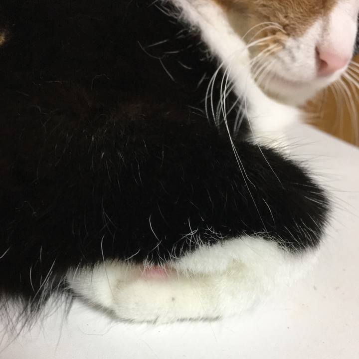 4b99277e 674b 45a0 bbfd abe02bd4d801