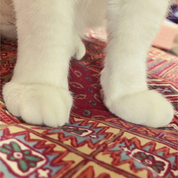 4b99300b 640b 4c95 b9da c9ab0f696062